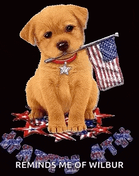 a puppy is holding an american flag in its mouth while sitting on top of a puzzle .