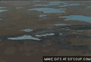 a gif that says make gifs at gifsoup.com is displayed