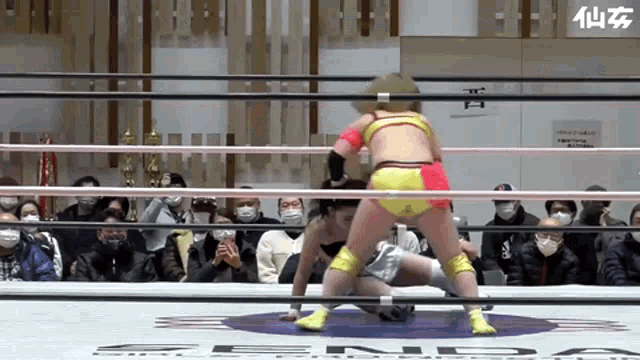two women are wrestling in a ring in front of a crowd wearing face masks .