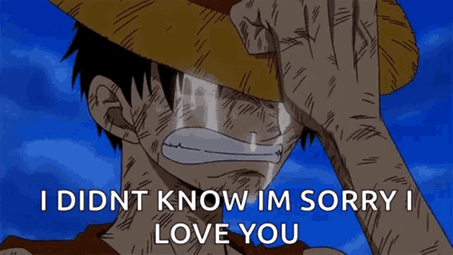 monkey d luffy from one piece is crying and saying i did n't know im sorry i love you .