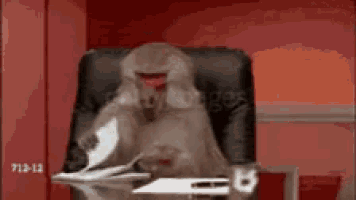 a monkey is sitting in a chair holding a piece of paper