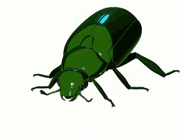 a green and blue object with a white background