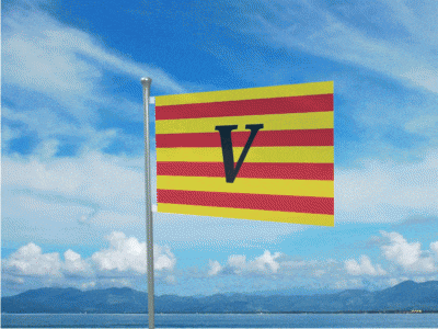 a flag with the letter v on it is flying in the wind