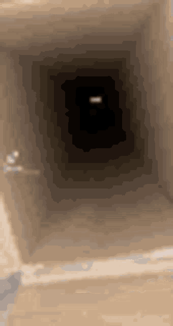 a person is walking through a dark tunnel in a building .