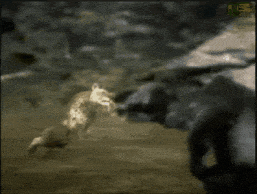 a leopard is laying on the ground with a green sticker that says ' a ' on it