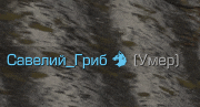 a gray background with a few words in russian
