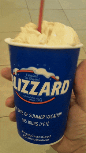 a person is holding a cup of ice cream that says lizard on it