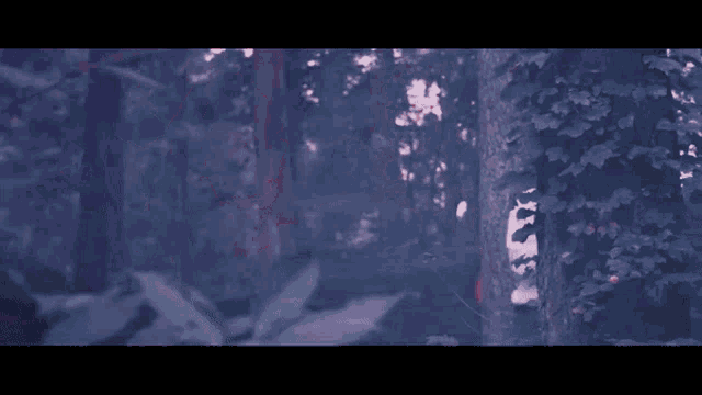 a woman wearing a white shirt and red glasses is standing in a forest .
