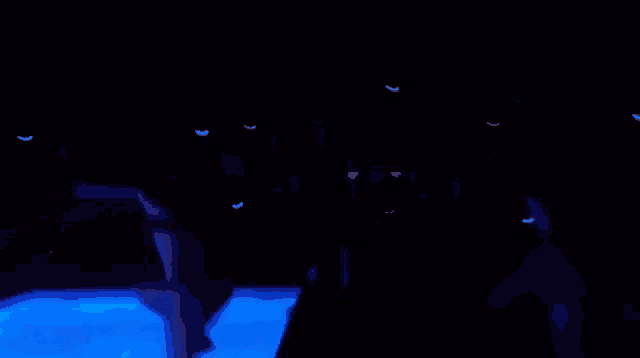 a group of people are swimming in a pool at night with blue lights