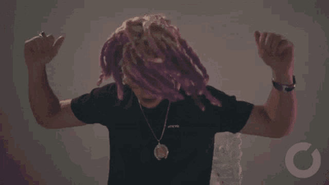 a man with purple dreadlocks is wearing a black t-shirt with a necklace