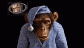 a monkey wearing a blue sweater and a sleep cap .
