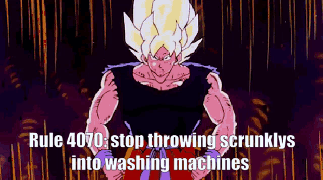 a picture of a cartoon character with the words rule 4070 stop throwing scrunklys into washing machines