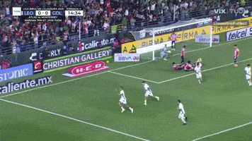 a soccer game is being played on a field with a sign that says pirma on it