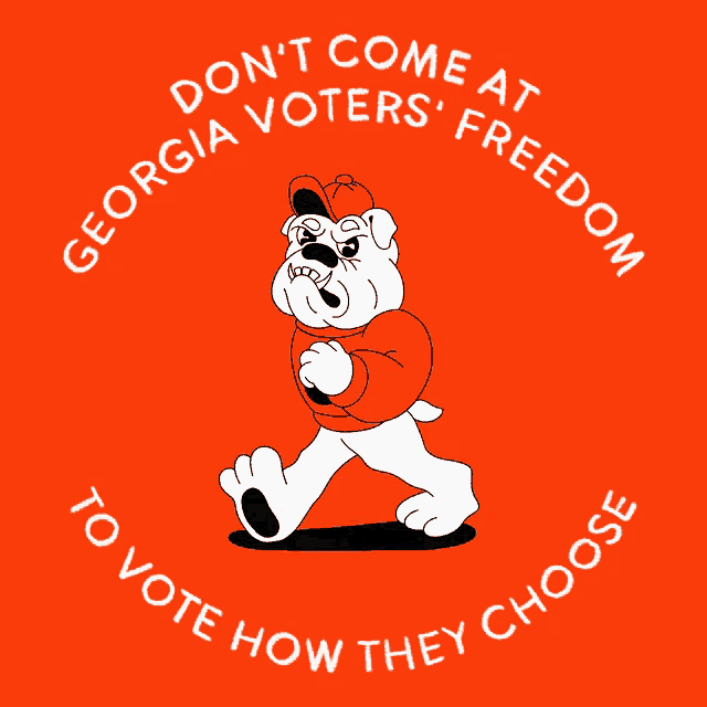 a poster that says " do n't come at georgia voters ' freedom "