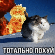 a cat is standing in front of an explosion with the words totally poxyy in the bottom right corner