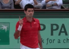 Novak Djokovic Finger Sign GIF - Novak Djokovic Finger Sign Celebrate GIFs