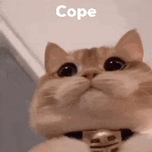 Cope Cope Harder GIF - Cope Cope Harder Cant Cope GIFs