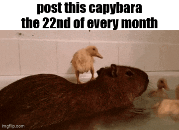 a picture of a capybara and a duckling in a bathtub