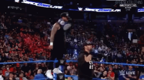 The Usos Jimmy Jey GIF - The Usos Jimmy Jey Tag Team GIFs