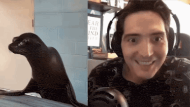 a seal next to a man wearing headphones and a sign that says " ear the ind "