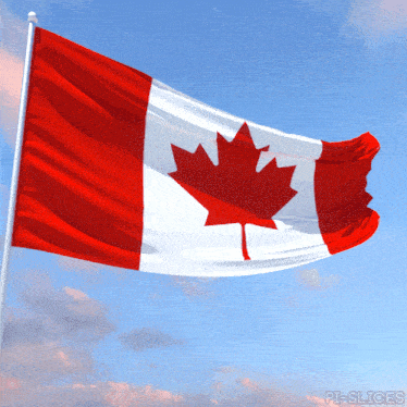 a canadian flag with a maple leaf on it is flying in the wind