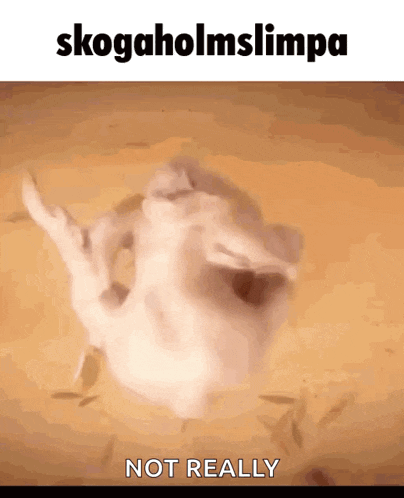 a gif of a cat that says skogholmslimpa not really