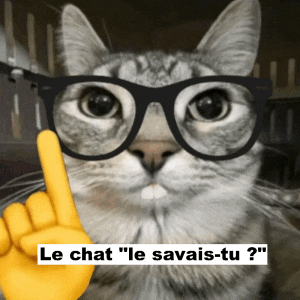 a cat wearing glasses is being pointed at by a yellow hand