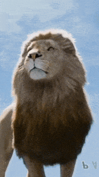 a lion standing in front of a blue sky with the letters by on the bottom right