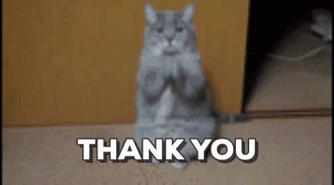 Thank You Thank GIF - Thank You Thank Cat GIFs