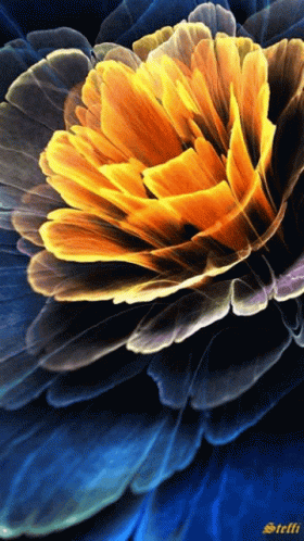 Colors Flower GIF - Colors Flower GIFs