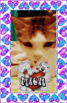 a picture of a cat with two teddy bears holding a heart with the name mich on it