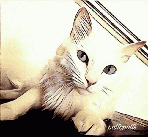 a painting of a white cat with blue eyes and the words pattopats below it