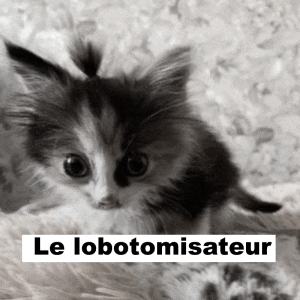 a black and white photo of a kitten with le lobotomisateur written below it