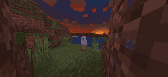 a minecraft scene with a sunset in the background and a person standing in the grass