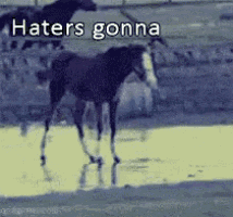 a horse is standing in the water with the words haters gonna written above it