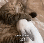 a cat and a rabbit are laying on a bed and the cat is holding the rabbit 's leg .