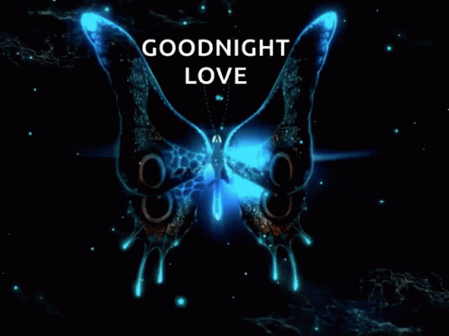 Love You Cool GIF - Love You Cool Butterfly GIFs