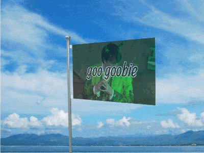 a flag with a picture of a person and the words goo goobie on it