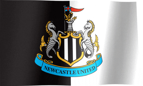 a black and white flag with the newcastle united crest on it