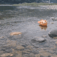 a stuffed animal is floating on top of a river