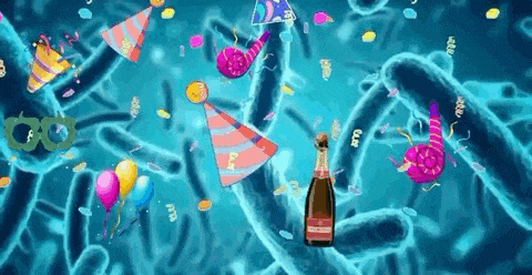 a bottle of champagne is surrounded by confetti and party hats .