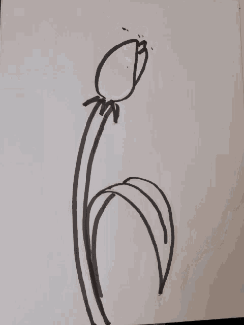 a black and white drawing of a flower with two leaves