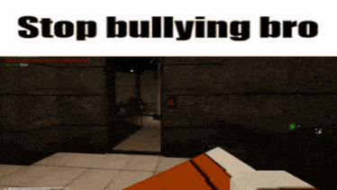 a screenshot of a video game with the words stop bullying bro above it