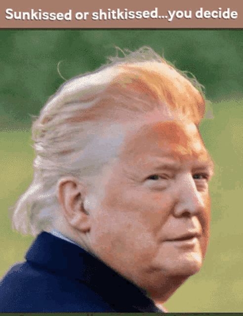 Potus Trump GIF - Potus Trump Tan GIFs