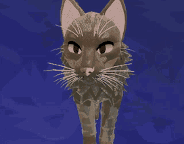 Cat Spinning Warrior Cats GIF