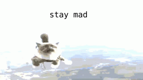 Cat Stay Mad GIF - Cat Stay Mad GIFs