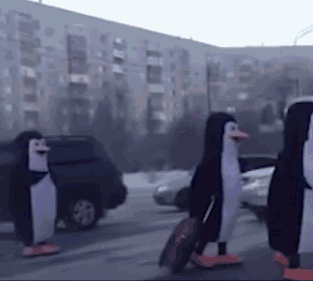 Pingouins Fail Pingouins GIF - Pingouins Fail Pingouins Pinguins GIFs