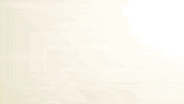 the name will trent is displayed on a yellow background