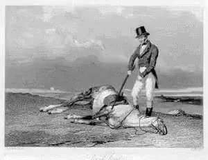 Dead Horse Beating A Dead Horse GIF - Dead Horse Beating A Dead Horse Animal Cruelty GIFs