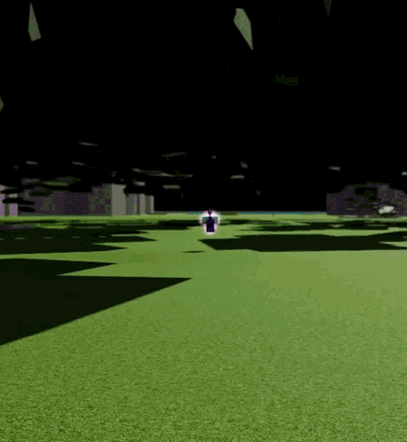 a roblox character with a purple hat and a sword